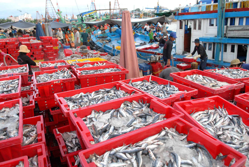 Sixty three fisheries societies established nationwide